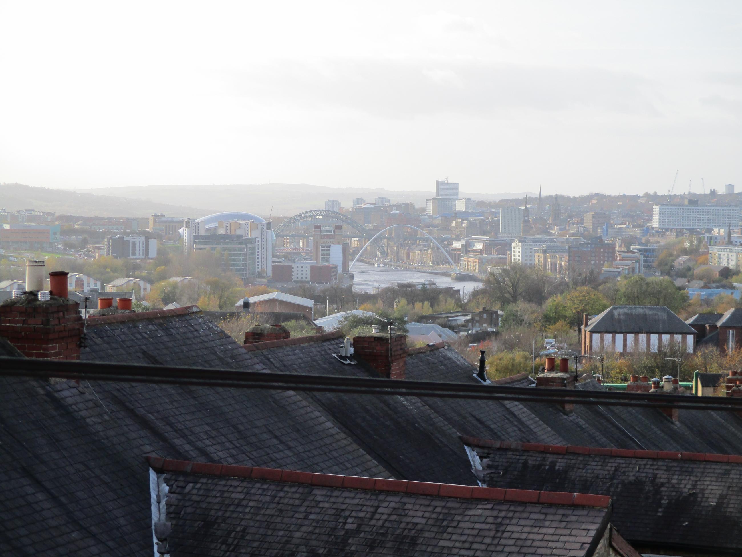 View across Newcastle